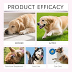 Dogs Collagen, Supports Joint Relief & Healthy Skin Coat, Gut Health, Premium Liquid Collagen Supplement, 2 fl.oz