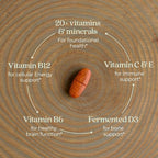 New Chapter Women’s Multivitamin 55+,Astaxanthin,B6,B12,D3,Vitamin C & Zinc,Immune,Heart,Cellular Energy,and Bone Support,Gentle on The Stomach,Daily,Non-GMO,Gluten-Free,96 Tablets,(Pack of 2)