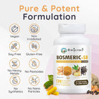 Joint Immune Support Supplement, Patented Blend Turmeric Curcumin C3 Complex with Black Pepper, Boswellia PS Extract & Ginger, Fast-Acting 20 minutes, 8-Hour Sustained Release, 120 Caplets - Sanjevani