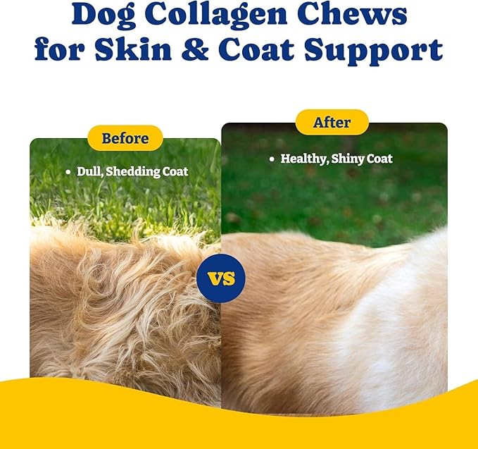 Collagen for Dogs - Collagen Soft Chews for Hip, Joint, Cartilage & Mobility Support, Skin & Coat Supplement for Dogs, with Types I, II & III Collagen and Superfood - 110 Count, Duck & Pear Flavor