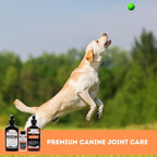 TRIXSYN Canine - Dog Hip and Joint Supplement - Liquid Hyaluronic Acid HA for Dog - Patented Liquid Formula for Senior Dogs - MHB3 Hylauronan - 6 fl oz (3)
