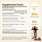 Japanese Reishi Mushroom Supplement 800mg with Reishi Mushroom Extract 500mg & Shell-Broken Spores 200mg,Organic Mushroom Capsules for Immune System - Real Fruiting Body (Pack of 2)