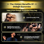 Shilajit* Gummies,Pure Himalayan* micronutrient Supplement, Himalayan Premium Ingredient with Shilajit, Ashwagandha, Gokshura, Fulvic Acid & 85+ Trace Minerals I for Men & Women ((4000MG/1 Bag))