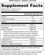 Pump-ocalypse Raspberry Lemonade | Nitric Oxide and L Arginine Supplement | Citrulline Malate, GlycerPump | Ultimate N.O. Booster | Lean Muscle Support | Blood Flow, Vascularity, Hydration, Endurance