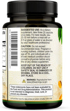Turmeric Curcumin Supplement 2350mg - 95% Curcuminoids with Organic Turmeric & Ginger, BioPerine Black Pepper for Best Absorption, Nature's Vegan Joint Support, Non-GMO, Bottled in USA - 240 Capsules