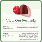 Plant People WonderDay Mushroom Gummies - Lion’s Mane, Cordyceps, Chaga Mushroom Supplement to Support Immune System De-Stress Boost Mood & Energy in Adults Natural, Vegan, Non-GMO (60 Count)