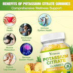 2 Pack Potassium Citrate Gummies 1500mg, Potassium Supplement Gummies for Adults Women & Men, Support Leg Cramps & Muscle Health, Sugar-Free, Pineapple Flavor, 120 Count