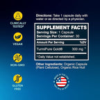 BioEmblem Turmeric Curcumin with Clinically Studied TurmiPure - Joint Support, Healthy Inflammation Turmeric Supplements - 1 Small Cap Daily, 24x More Absorption Than Others - Non-GMO, 90 Serving