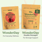 WonderDay Extra Strength Mushroom Gummies – Sugar Free Lion’s Mane, Cordyceps, Reishi & Chaga Supplement for Adults – Mood Boost, Energy, Focus, Immune Support & Gut Health – Vegan, Non-GMO (60 Count)
