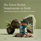 Gaia Herbs SleepThru - Sleep Support Supplement with Ashwagandha Root, Magnolia Bark, Passionflower & Jujube Date* - 60 Vegan Liquid Phyto-Caps (30 Servings)