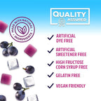 Magnesium Citrate Chews Supplement - High Absorption Magnesium Gummies Supplement - Vegan Mag Citrate Soft Chews Gummy for Adults - Relaxation & Calm Support - Delicious Grape Flavor - 60 Gummies