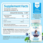 Acetyl L-Carnitine Supplement 1000MG Gummies - Sugar Free Alcar L-Carnitine Gummies for Men Women Support Muscle Endurance Brain Health Energy Metabolism - Vegan Non-GMO Blueberry Flavored 60CT