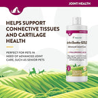 NaturVet – ArthriSoothe-Gold Advanced Care Liquid | Level 3 Advanced Joint Care | Supports Healthy Hip & Joint Function | Enhanced with Glucosamine, MSM & Chondroitin | For Dogs & Cats | 16 oz Liquid