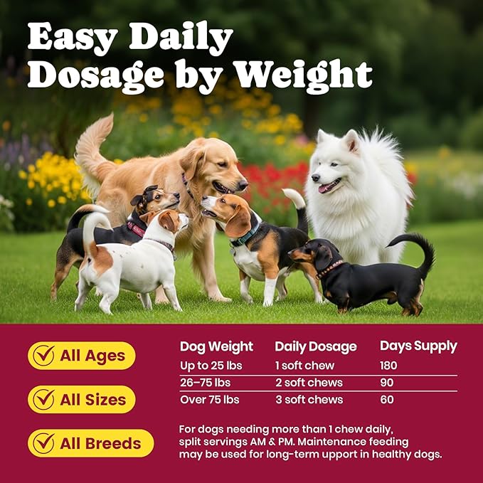 Glucosamine for Dogs - Hip and Joint Supplement Chews for Senior & Large Breed, Joint Supplement for Dogs with Chondroitin, Wuffe Joint Chews for Pain Relief - 60-Day Satisfaction Guarantee - 180 Ct