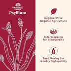 ORGANIC INDIA Psyllium Herbal Powder - Whole Husk Fiber, Vegan, Gluten-Free, USDA Certified Organic, Non-GMO, Soluble & Insoluble Fiber Source - 12 Oz Canister (Pack of 1)