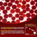 Astaxanthin Gummies, 12mg Per Gummy 24mg Max, Astaxanthin Supplements with Vitamin A/C/D/E, Resveratrol, 14-IN-1 Antioxidants Blend for Women Men, Skin, Eyes, Immune Support, Sugar Free, Vegan, 60 Ct