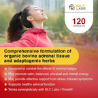 RLC Labs a-Drenal, 240 Capsules - Herbal, Cortisol Supplement with Ashwagandha, Ginger & Rhodiola to Support Balance, Mood, Energy & Vitality - Adrenal Support Formula for Adult (2 Month Supply)
