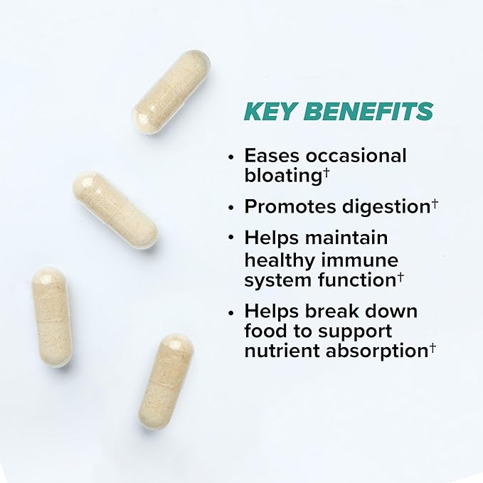 ONNIT Total Gut Health Daily Digestive Support, IGEN™ Non-GMO Tested Digestion Supplement for Women and Men with 7 Strains of Probiotics, Prebiotics, Enzymes and Betaine HCL, 60 Count