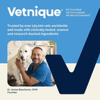 Vetnique Glandex Anal Gland Soft Chew Treats with Pumpkin for Dogs Digestive Enzymes, Probiotics Fiber Supplement for Dogs Boot The Scoot (Bacon Flavor Chews, 120 Count)