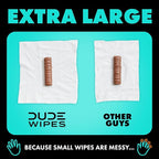 DUDE Wipes - On-The-Go Flushable Wipes - 4 Pack, 60 Count - Mint Chill Extra-Large Individually Wrapped Adult - with Eucalyptus & Tea Tree Oil - Septic and Sewer Safe