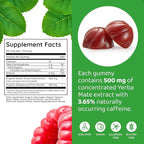 HOLYMARY Yerba Mate Gummies, Raspberry Flavor - Energy, Focus, Power Vegan, Non-GMO, Natural Ingredients, Gluten Free, 50 Delicious Supplement Gummies
