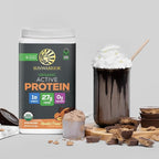 Sunwarrior Organic Plant Based Protein Powder | Vegan Organic Protein Powder with BCAAs Plus Recovery Minerals & Botanicals | Non-GMO Soy Dairy & Gluten Free (Chocolate Peanut Butter, 20 Servings)