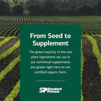Standard Process Antronex Liver Health Dietary Supplement - Gluten-Free, Non-Dairy, Non-Soy & Non-Grain Immune Care - 330 Tablets