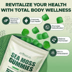 16 in 1 Sea Moss Gummies with Ashwagandha Black Seed Oil Bladder Wrack Turmeric Vitamin C & D3 with Manuka Burdock Root, Irish Sea Moss Gummies for Women & Men, Vegan Green Apple