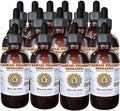 Hawaii Pharm Rehmannia Liquid Extract, Tincture, Herbal Supplement, Made in USA, 15x4 fl.oz