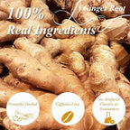 WT WEETEE Ginger Tea Bags, 100 Count Pure Ginger Root Tea, Warm & Spicy, Natural Caffeine Free Herbal Tea, No Spices & Flavors