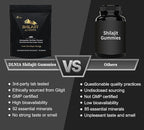DLNIA Shilajit Gummies with Ashwagandha, Turmeric - Organic, Zero Sugar & Vegan-Friendly Himalayan Shilajit for Men & Women - Energy, Calm, Cortisol, Sleep, Immune Support & Overall Health