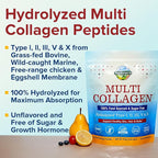 Terranics Multi Collagen Peptides Powder, 1lb, 20g Per Serving, Hydrolyzed Collagen Type I II III V X, Bovine Marine Chicken & Eggshell, No Sugar, Keto, Beauty & Movements Support, Unflavored, 16oz