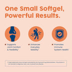NativePath Turmeric Curcumin with Boswellia – Premium Softgels for Joint Mobility & Wellness – High Absorption, Non-GMO, Gluten-Free, 60 Softgels