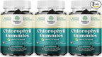 Chlorophyll Gummies for Cleanse & Detox Support - Potent Internal Deodorizer Chloropyll Supplements for Body Odor Healthy Skin Immunity & Digestive Support - Vegan Non-GMO & Gluten Free (3 Pack)