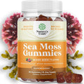 Sea Moss Gummies for Adults and Kids - Vegan Adult and Kids Immune Support Gummies with Burdock Bladderwrack Sea Moss Gel - Delicious Berry Flavor Supplement Men Women Children - 30 Count