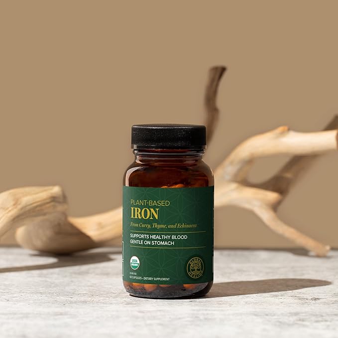 Global Healing Center Iron Supplement for Women and Men - Blood Builder Liquid Iron Vitamin with Curry Plant Extract - Natural Energy to Combat Fatigue, Brain Health & Oxygen Level Support (2 Oz)
