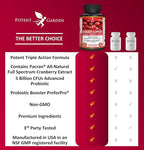 Potent Garden Urinary Support Womens Probiotic for Urinary Tract Health for Women, Cranberry Capsules with 5 Billion CFUs Cranberry Extract, Prebiotics and Probiotics for Women, 60 Caps, 30 Servings