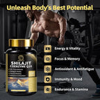 Shilajit Capsules with Sea Moss & Ashwagandha for Men & Women,12 in 1 Hima*layan Shilajit Supplements with Coenzyme Q10, Fulvic Acid & Humic Acid, Lion's Mane, Energy & Immune, 120 Count, 2 Pack
