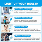 Acetyl L-Carnitine Supplement 1000MG Gummies - Sugar Free Alcar L-Carnitine Gummies for Men Women Support Muscle Endurance Brain Health Energy Metabolism - Vegan Non-GMO Blueberry Flavored 60CT
