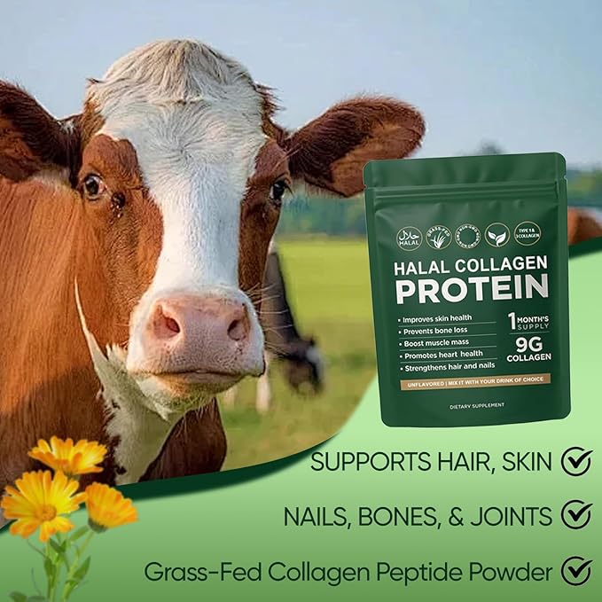 Halal Collagen Protein Powder, Grass-Fed Collagen Peptides Powder, Type I&III, 100% Hydrolyzed for Hair, Skin, Nails, Gut, Bone & Joint Health for Women and Men, Sugar Free, Unflavoured (1)