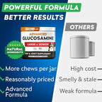 STRELLALAB Advanced Glucosamine Hip & Joint Supplement for Senior Dogs - Green Lipped Mussel & Collagen - Hip & Joint Pain Relief - Large & Small Breed - Joint Health - Bacon - 240 Chews