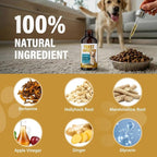 Yeast Infection Treatment for Dogs - Soothing Ear & Skin Relief for Itch & Inflammation, Natural Dog Allergy Support
