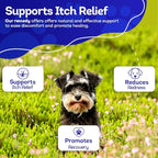 HA4E - Dog Yeast Protection - Homeopathic Support for Yeast Infections - All-Natural Preventive Care for Skin & Ear Health - Tablets, Kennel Size (Extra Large)