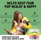 Mushroom Complex Treats for Dogs with Reishi, Shiitake, and Turkey Tail Mushrooms for Cognition and Immune Boosting Supports Digestive Health and Reduces Inflammation DHA EPA Turmeric Kelp 30 Chews