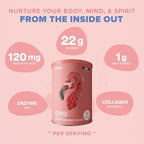 BIRDMAN Fitmingo Vegan Protein Powder with Inositol, Collagen Boosters, Hyaluronic Acid and Vitamins | Low Carb, Dairy Free, Low Calorie | 23g Plant Based Blueberry Protein Powder with Myo-Inositol