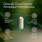 Digestive Enzymes | 40,000 USP Lipase - Prescription Strength Pancreatic Enzyme Replacement Formula for Fat Digestion, Gut Health & Nutrient Absorption - Fermented, Vegan, High Potency