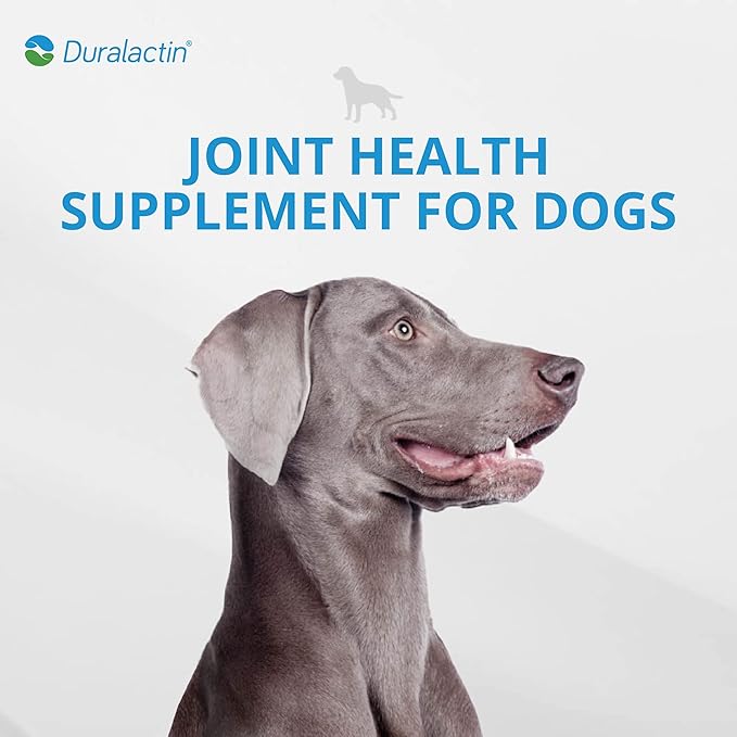 PRN Pharmacal Duralactin Canine Joint Plus Soft Chews - Joint Health Supplement for Dogs & Puppies - Pet Mobility Support - 90 Soft Chews