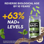 Liposomal NAD Supplement for Women w/Noni | 5-in-1 NAD Resveratrol Supplement w/Berberine & Quercetin | Pure NMN Powder Alternative | Supports Anti Aging & NAD+ Levels | 120 caps - 2 Packs