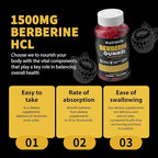 Nutravita Berberine Gummies with Ceylon Cinnamon 1500mg High Potency Berberine HCL Supplement for Immune and Metabolism Support, Sugar Free Organic Berberine Gummies Raspberry Flavor-2PACK