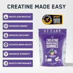 SteelFit Creapure Creatine Monohydrate Gummies for Men & Women, Concord Grape - Gym Workout Nutritional Supplements for Muscle Gain, Brain Health & Strength Building Dietary Supplement, 120 Gummies